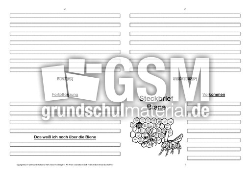 Biene-Faltbuch-vierseitig-1.pdf